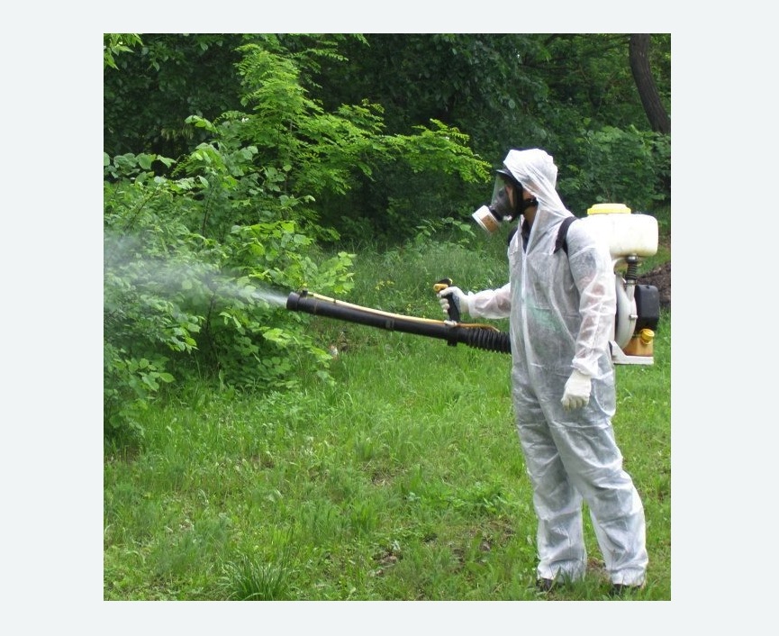 обработка территории от клещей в Шумихе