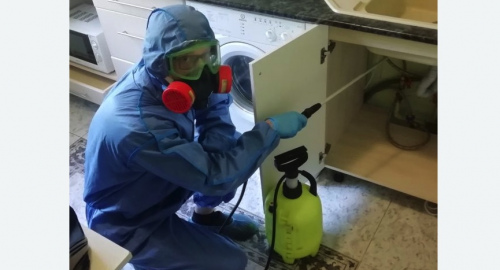 Уничтожение муравьев в квартире. Шумиха