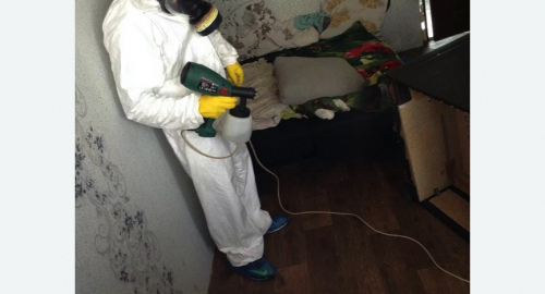 Обработка квартир от насекомых в Шумихе