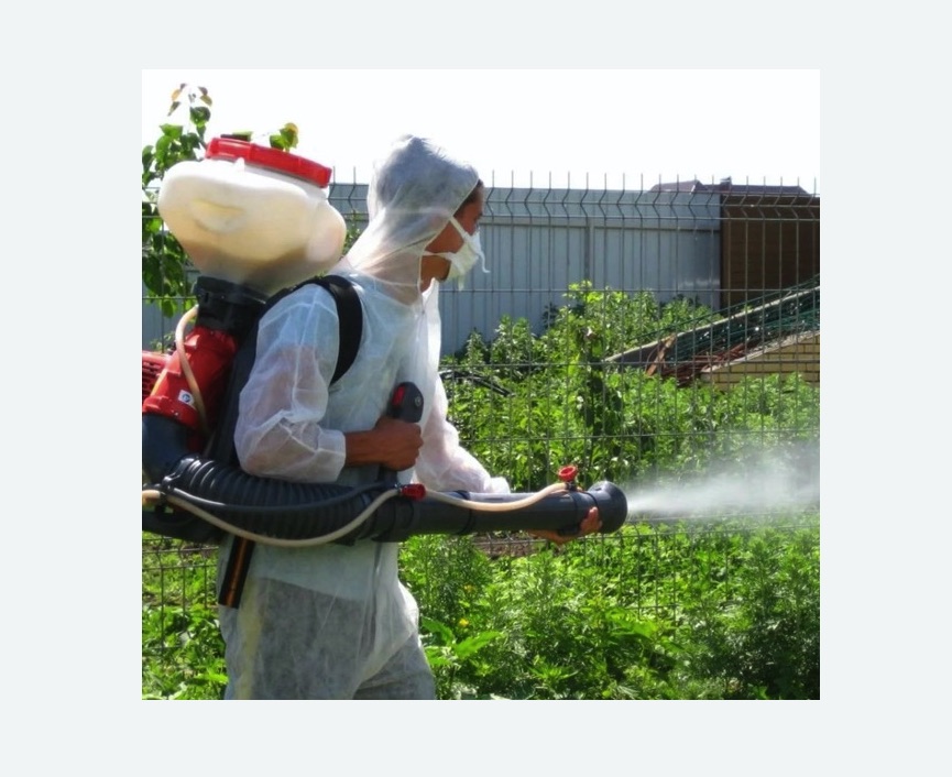 Акарицидная обработка территории в Шумихе