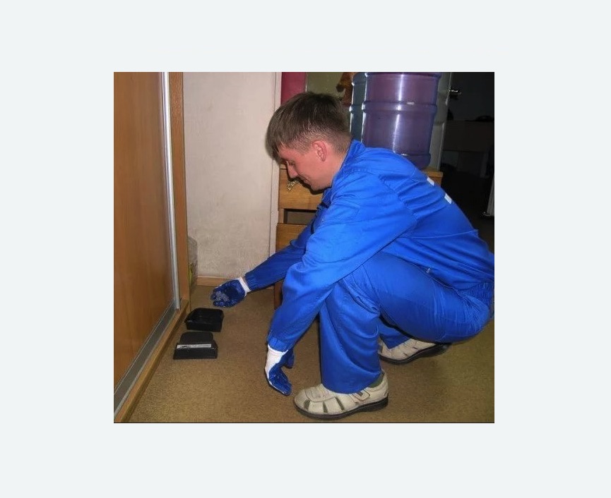 Дератизация крыс в Шумихе