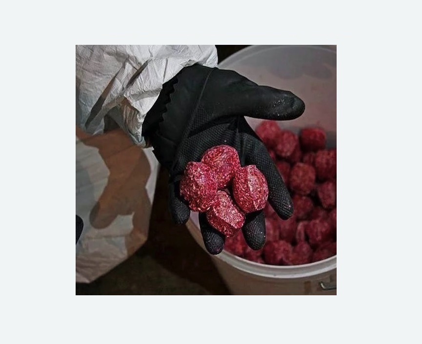 Обработка от крыс в Шумихе