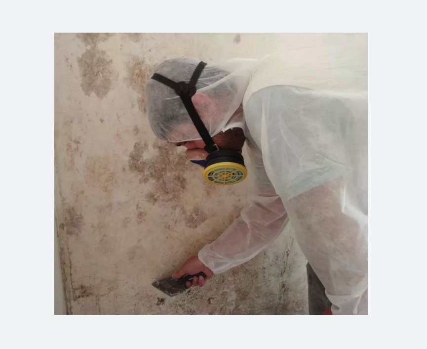 Обработка стен от плесени в Шумихе
