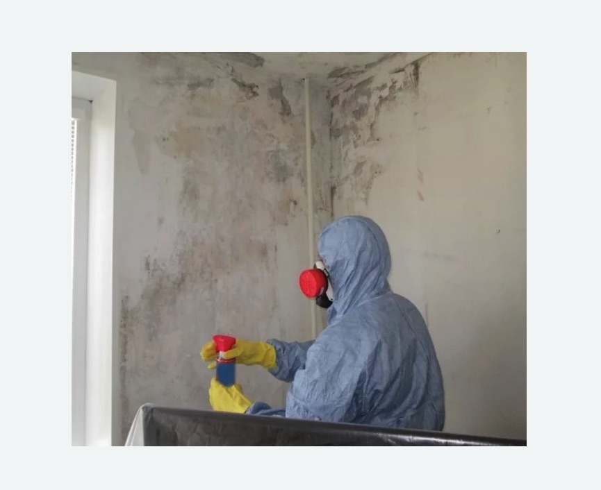 Удаление плесени в квартире в Шумихе