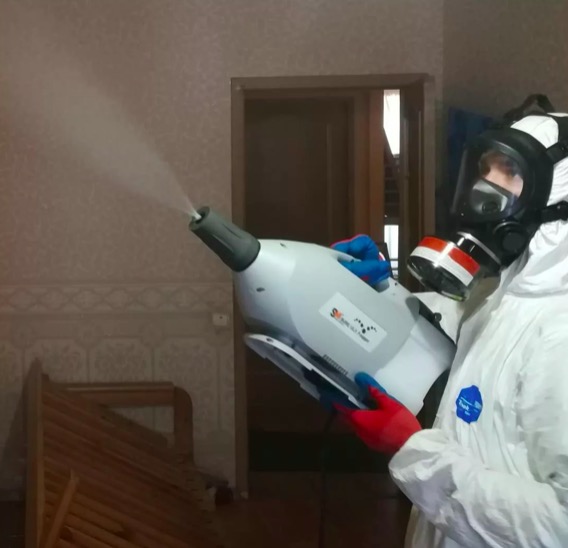 дезинсекция помещения в Шумихе