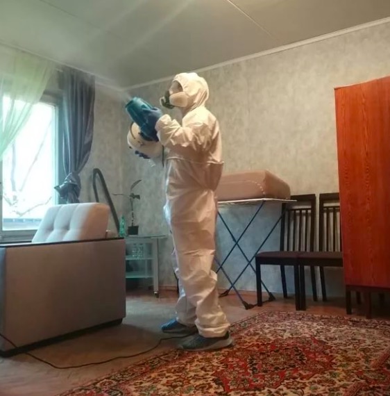 дезинсекция квартиры в Шумихе