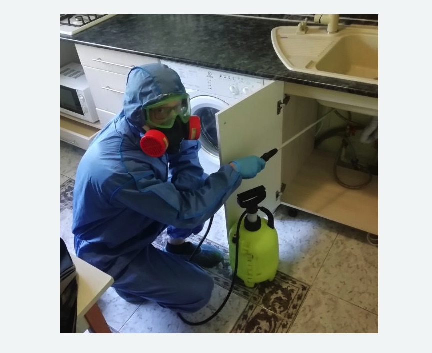 обработка от муравьев в квартире в Шумихе