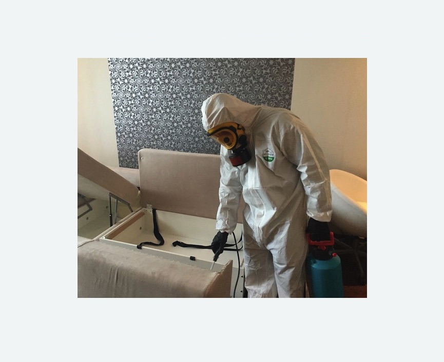 уничтожение клопов в квартире в Шумихе