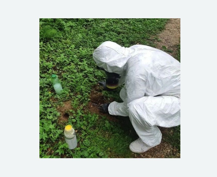 уничтожение кротов на участке в Шумихе