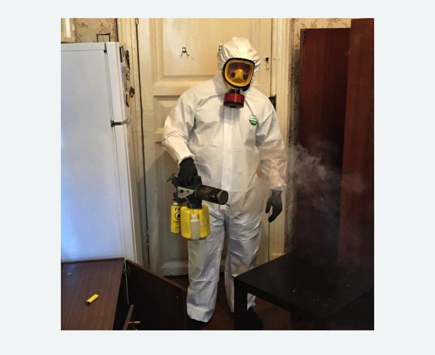 уничтожение муравьев в квартире в Шумихе